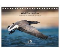 Wild encounters - Moments in the heart of nature (Desk Calendar 2026 DIN A5 landscape), CALVENDO 12 Month DeskCalendar: A captivating calendar that ... unforgettable moments in the heart of nature.