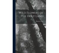 Wild Flowers Of The Holy Land