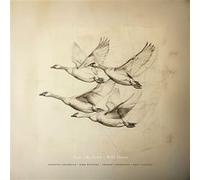 Wild Geese/Near The Pond