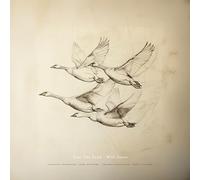 Wild Geese / Near the Pond