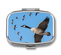 Wild Goose Pilulier carré en métal à 2 compartiments avec miroir pour sac à main de poche