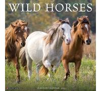 Wild Horses 2026 12 X 12 Wall Calendar