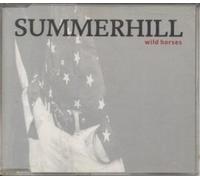 WILD HORSES CD UK POLYDOR 1990 3 TRACK B/W RIVER BLUE AND PLEASE DON'T GO AWAY (TTRCD3)