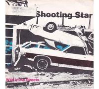 WILD IN THE STREETS 7" (45) UK VIRGIN 1980 B/W BRING IT ON (VS354) PIC SLEEVE