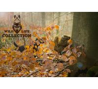 Wild Life Collection Jouets en Peluche pour Chiens Écureuil De Chien Sauvage