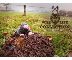 Wild Life Collection Jouets en Peluche pour Chiens Mole De Chien Sauvage