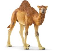 Wild Life - Dromadaire Marron TU