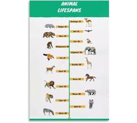Wild Life Expectancy Guide Poster Animal Kingdom Facts Wall Print