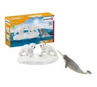 Wild Life Glissade des ours polaires