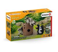 Wild life jeux rigolos avec la noix