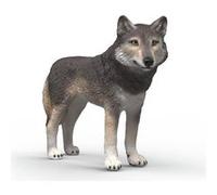 Wild Life - Loup américain