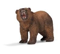 Wild life ours grizzly