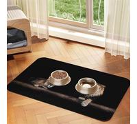 Wild Lion and Tiger,Waterproof Pet Feeding Mat,PU Leather Placemats for Cat Dog Water Bowl,Food Mats,40x60cm