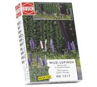 Wild Lupins