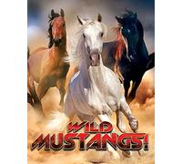 Wild Mustangs