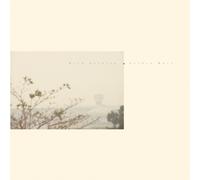 Wild Nothing - Golden Haze [Import]