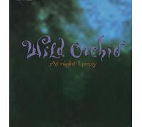 Wild Orchid - at Night I Pray