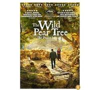 WILD PEAR TREE-BIL G