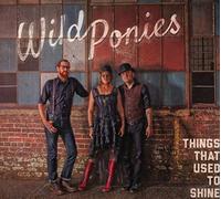 Wild Ponies - Things That Used to Shine [Import]