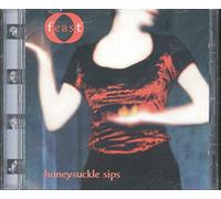 Wild Pumpkins at Midnight - Secret of the Sad Tree