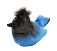 Wild Republic 20003 Oiseaux Audubon Geai de Steller avec un oiseau authentique