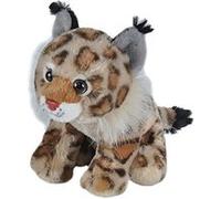 Wild Republic Bobcat Plush, Peluches, Peluches, Cadeaux pour enfants, Peluches 8 Pouces G