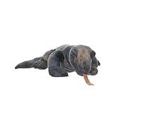 Peluche dragon de komodo gris 30 cms wild republic 14147 Gris