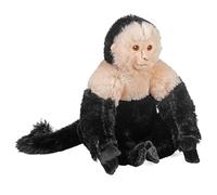 Wild Republic Cuddlekins Singe Capucin à Face Blanche, Peluche, 30 cm, Jouet en Peluche