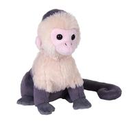 Wild Republic Rainforest Capucin à Face Blanche, Peluche, 15 cm, Jouet en Peluche, Remplissage en Bouteilles d'eau Recy s Filées