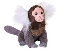 Wild Republic Rainforest Marmouset Commun, Peluche, 15 cm, Jouet en Peluche, Remplissage en Bouteilles d'eau Recyclées Filées