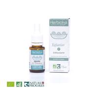 Wild Rose Eglantier N°37 - Indifférence Bio Aux Fleurs De Bach 15 Ml - Herbiolys