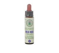 Wild Rose n° 37 Fleur de Bach farmaflor, 1 Flacon Comtpe Gouttes 10ml - Made in Italy