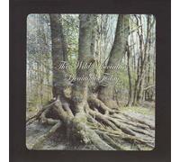 Wild Specialties - Beautiful Today [Import]