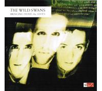 Wild Swans - Bring Home the Ashes