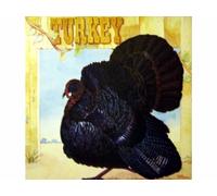 Wild Turkey - Turkey