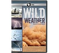 Wild Weather