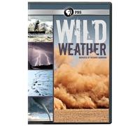 Wild Weather Dvd
