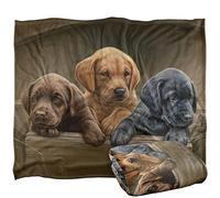 Wild Wings Puppies Silky Touch Super Soft Throw Blanket 152 X 127 Cm