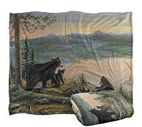Wild Wings Serenity at Twilight 2 Silky Touch Super Soft Throw Blanket 152 X 127 Cm