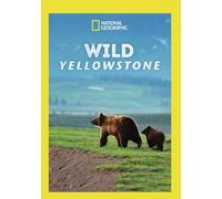 Wild Yellowstone