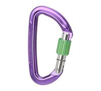 Wildcountry Mousqueton Session Screw Gate
