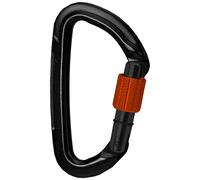 Wildcountry Mousqueton Session Screw Gate