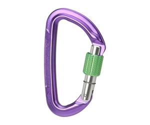 Wildcountry Mousqueton Session Screw Gate