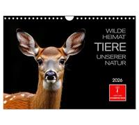 Wilde Heimat - Tiere unserer Natur (Wandkalender 2026 DIN A4 quer), CALVENDO Monatskalender: Die geheimnisvolle Welt der Waldtiere kunstvoll festgehalten.