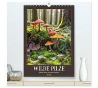 WILDE PILZE - Essbare, giftige und seltene Pilzarten (hochwertiger Premium Wandkalender 2026 DIN A2 hoch), Kunstdruck in Hochglanz: Naturkalender mit ... aus dem Wald, Monat für Monat.
