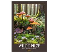 WILDE PILZE - Essbare, giftige und seltene Pilzarten (Tischkalender 2026 DIN A5 hoch), CALVENDO Monatskalender: Naturkalender mit essbaren, giftigen ... aus dem Wald, Monat für Monat.
