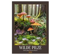 WILDE PILZE - Essbare, giftige und seltene Pilzarten (Wandkalender 2026 DIN A2 hoch), CALVENDO Monatskalender: Naturkalender mit essbaren, giftigen ... aus dem Wald, Monat für Monat.