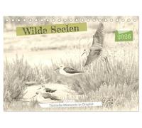 Wilde Seelen - Tierische Momente in Graphit (Tischkalender 2026 DIN A5 quer), CALVENDO Monatskalender: Wilde Schönheit, in Graphit gezeichnet.