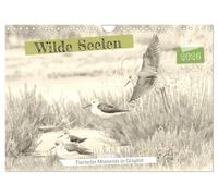 Wilde Seelen - Tierische Momente in Graphit (Wandkalender 2026 DIN A4 quer), CALVENDO Monatskalender: Wilde Schönheit, in Graphit gezeichnet.