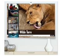 Wilde Tiere - Die schönsten Portraits (hochwertiger Premium Wandkalender 2026 DIN A2 quer), Kunstdruck in Hochglanz: Die schönsten Tierportaits für das ganze Jahr